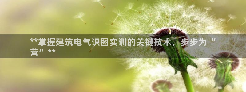 凯发app是干嘛的