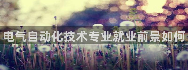 凯发国际亚洲有限公司