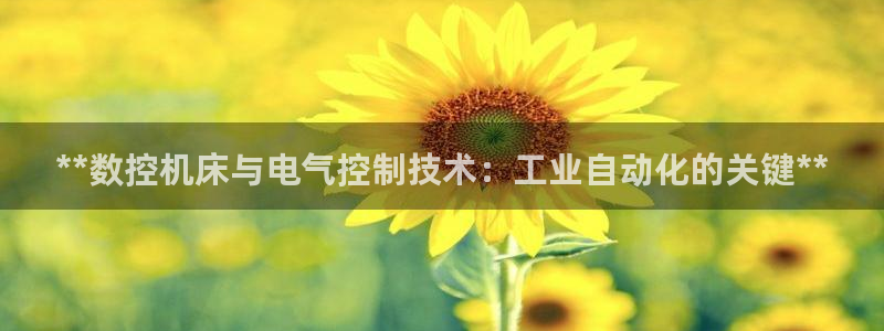 凯发k8手机是正品吗知乎