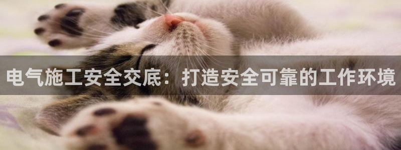 凯发k8旗舰厅app下载可靠送38元是真的吗：电气