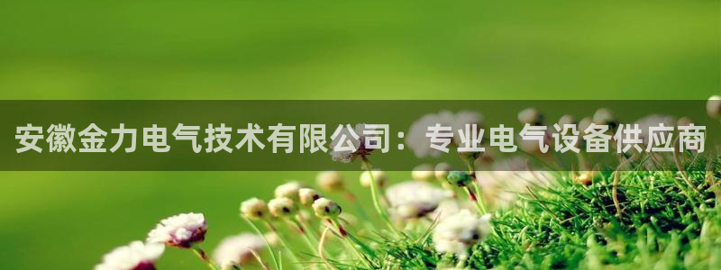 凯发k8手机是正品吗多少钱：安徽金力电气技术有限公