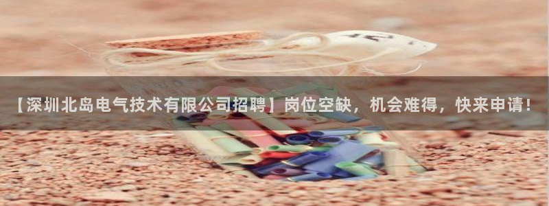 凯发k8全球公开：【深圳北岛电气技术有限公司招聘】