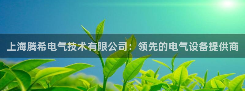 凯发k8手机是正品吗知乎：上海腾希电气技术有限公司