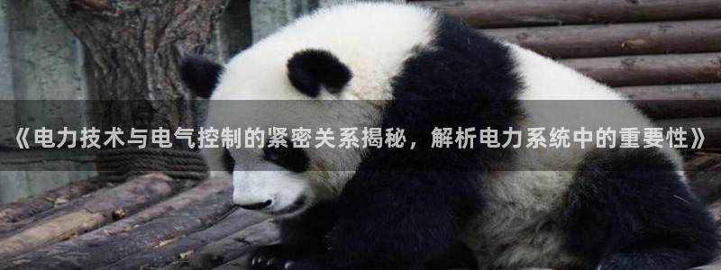 凯发k8娱乐品牌导航：《电力技术与电气控制的紧密关